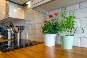 quartz kitchen countertops